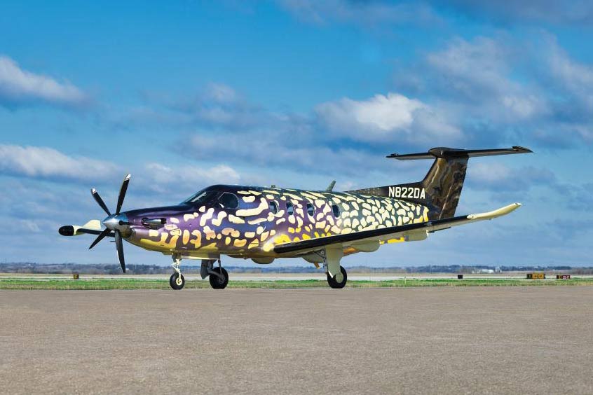 Is it a bird? Is it a plane? No, its a fish -  Duncan Aviation's PC-12 has the aspect of a Northern Pike.