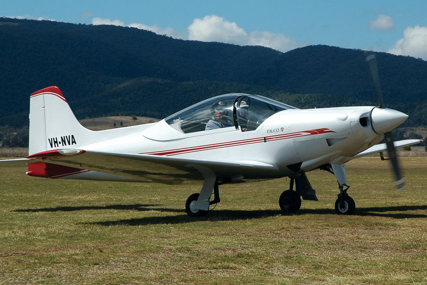 Sequoia Falco